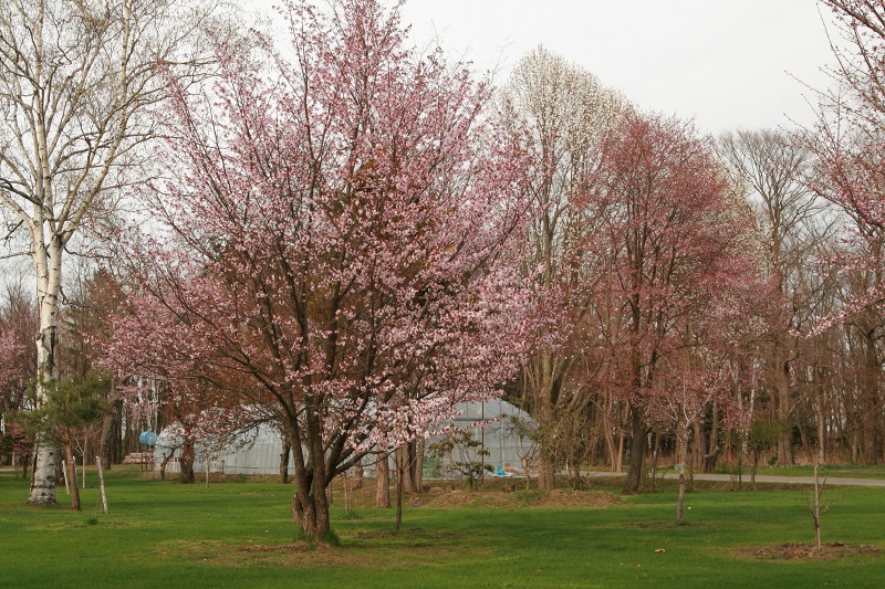 ファイル 208-1.jpg