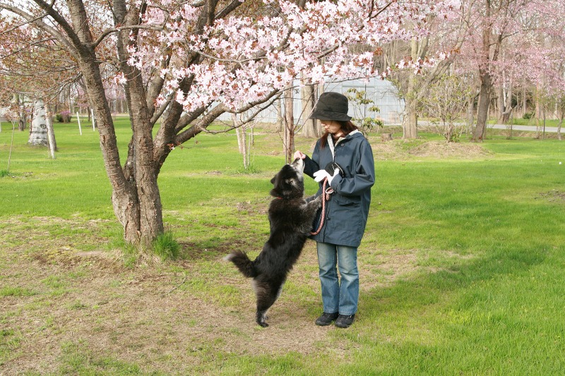 ファイル 208-2.jpg