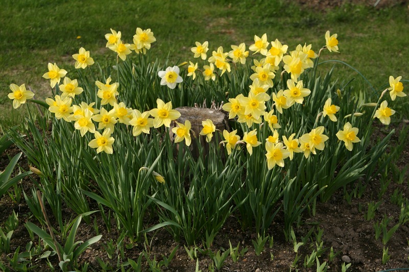 ファイル 208-3.jpg