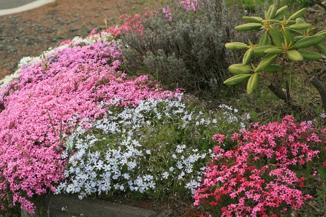 ファイル 208-5.jpg