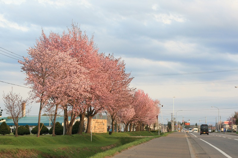 ファイル 209-1.jpg