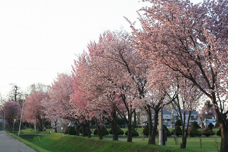 ファイル 209-2.jpg