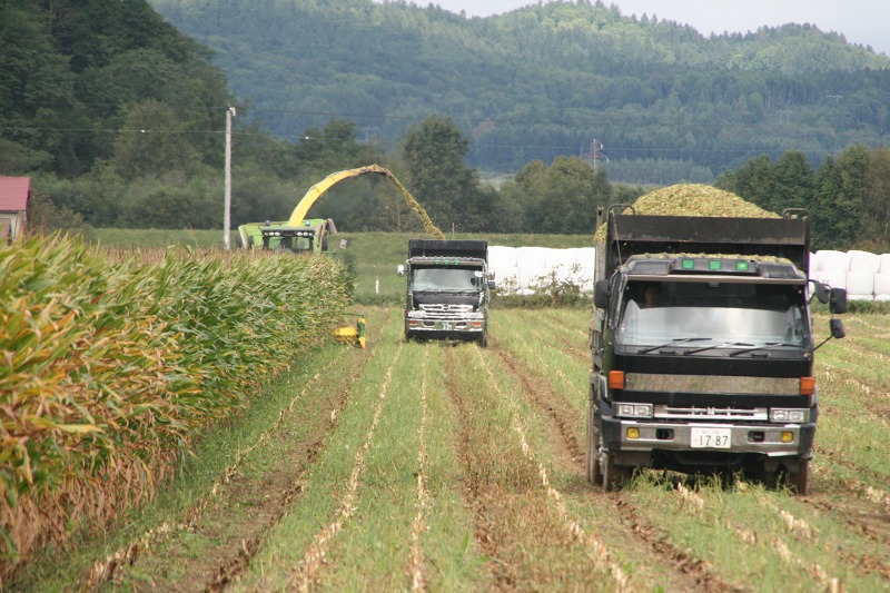 ファイル 21-2.jpg