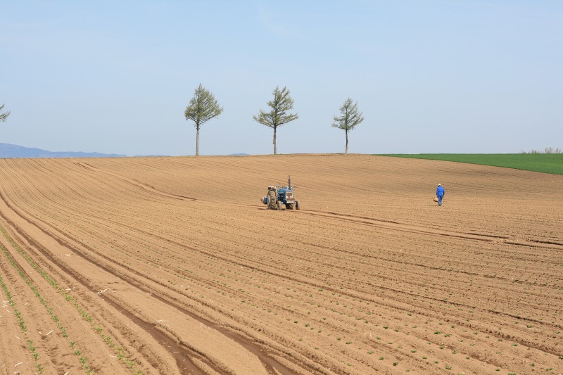 ファイル 210-1.jpg