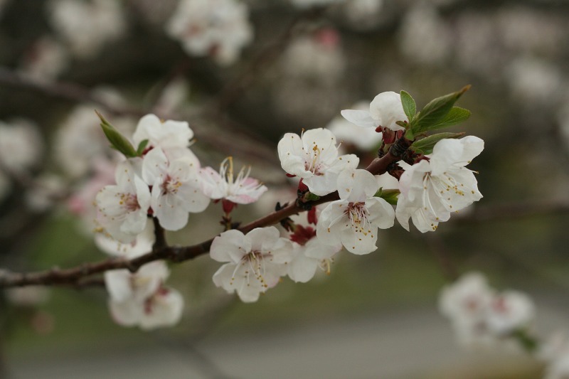 ファイル 210-2.jpg