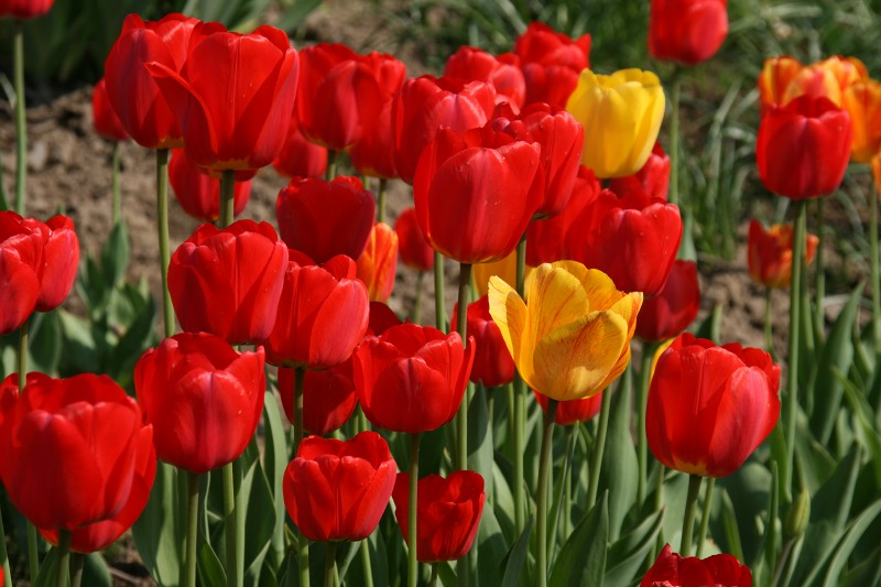 ファイル 213-2.jpg