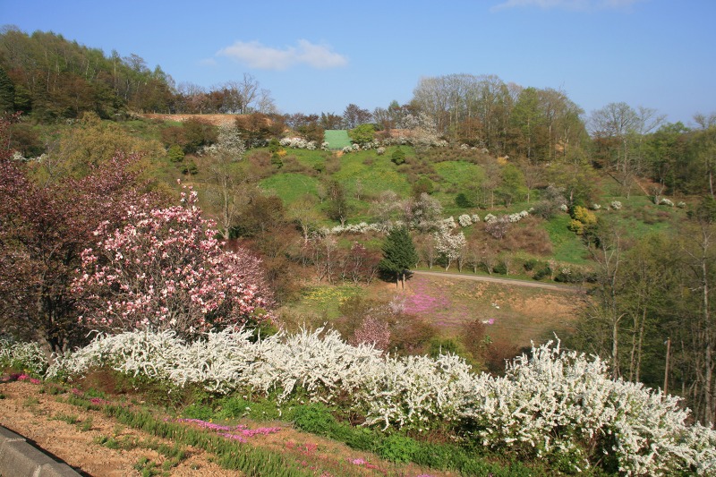 ファイル 213-4.jpg