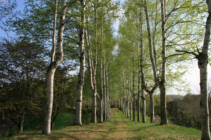 ファイル 213-5.jpg