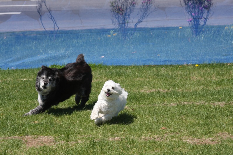 ファイル 214-1.jpg