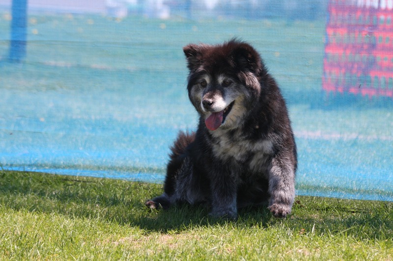 ファイル 214-2.jpg