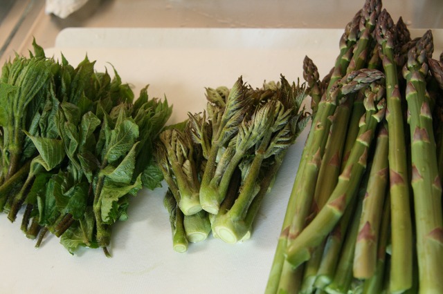 ファイル 214-4.jpg