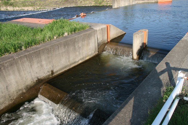 ファイル 215-2.jpg