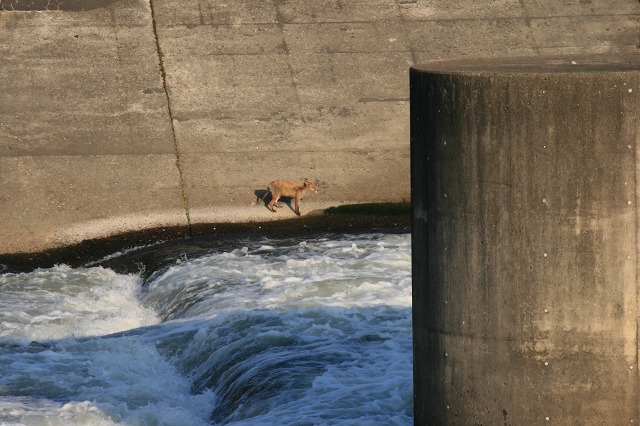 ファイル 215-3.jpg