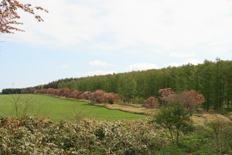 ファイル 216-1.jpg