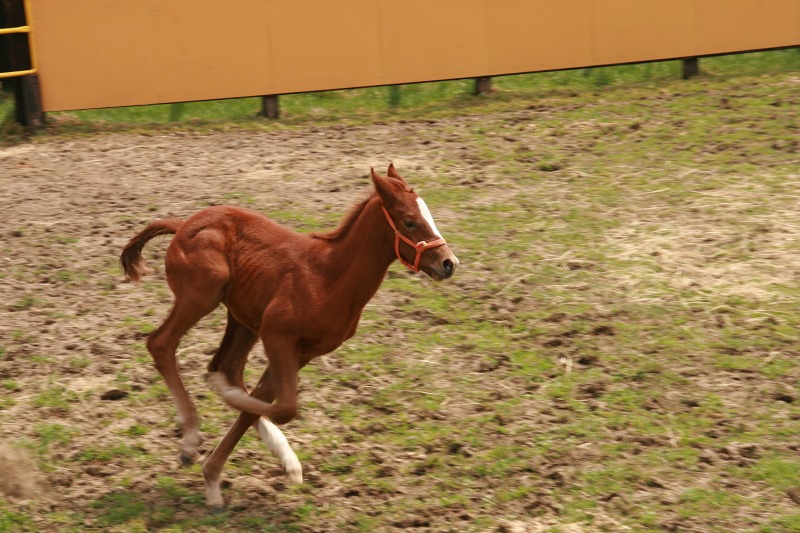 ファイル 216-4.jpg