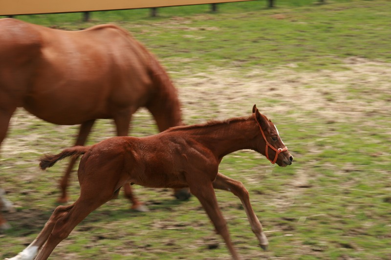 ファイル 216-5.jpg