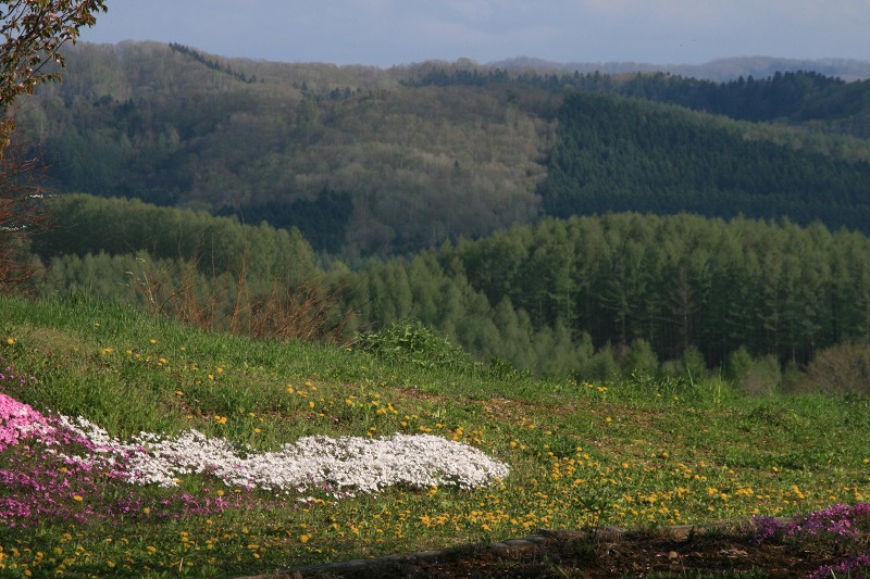 ファイル 217-1.jpg