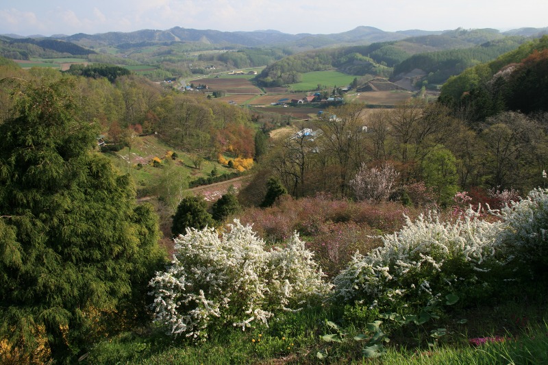 ファイル 217-3.jpg