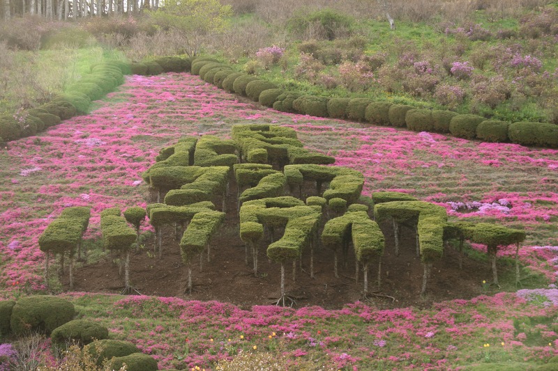 ファイル 217-4.jpg