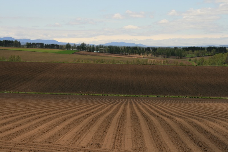 ファイル 219-3.jpg