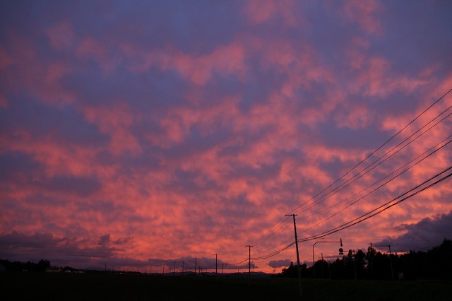 ファイル 22-4.jpg