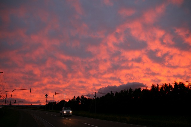 ファイル 22-5.jpg