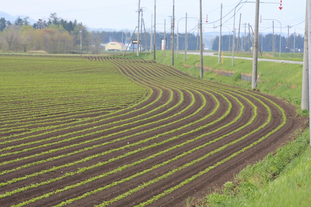 ファイル 220-1.jpg