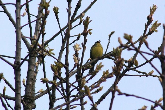 ファイル 220-2.jpg