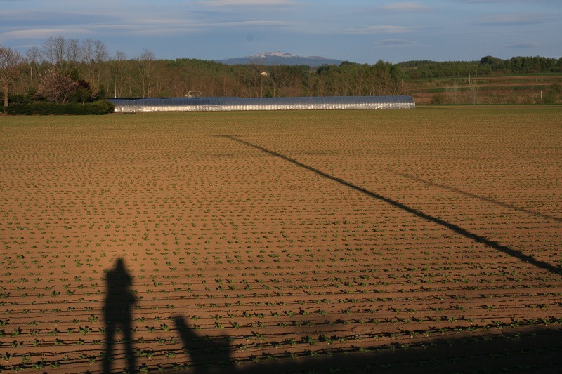 ファイル 220-4.jpg