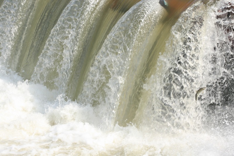 ファイル 221-1.jpg