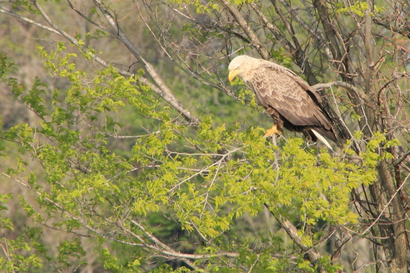 ファイル 221-2.jpg