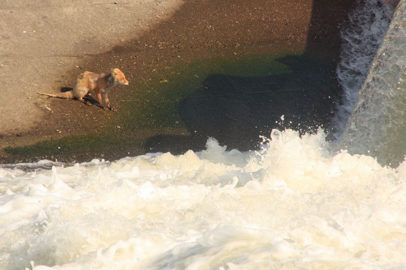 ファイル 221-3.jpg