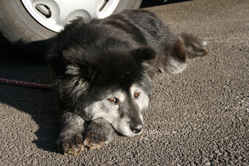 ファイル 221-4.jpg