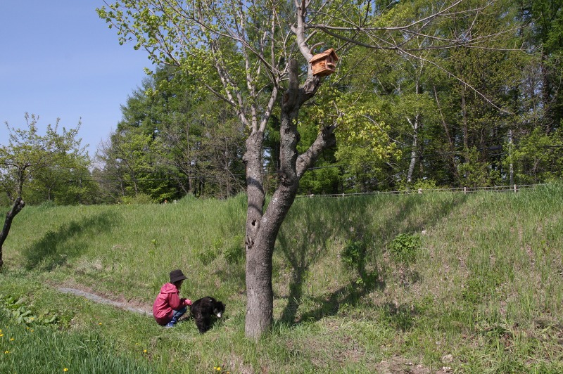 ファイル 222-1.jpg