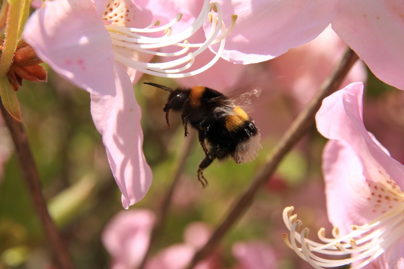 ファイル 222-2.jpg