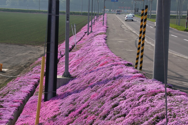 ファイル 222-3.jpg