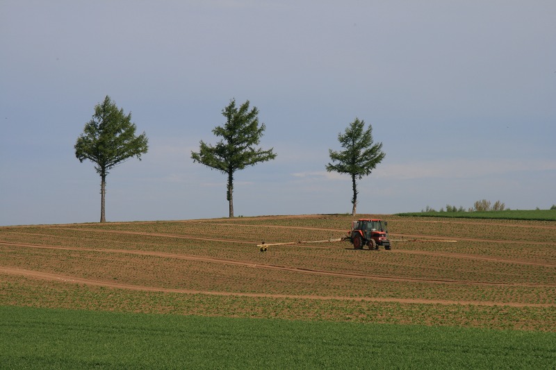 ファイル 223-1.jpg