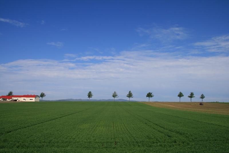 ファイル 223-2.jpg