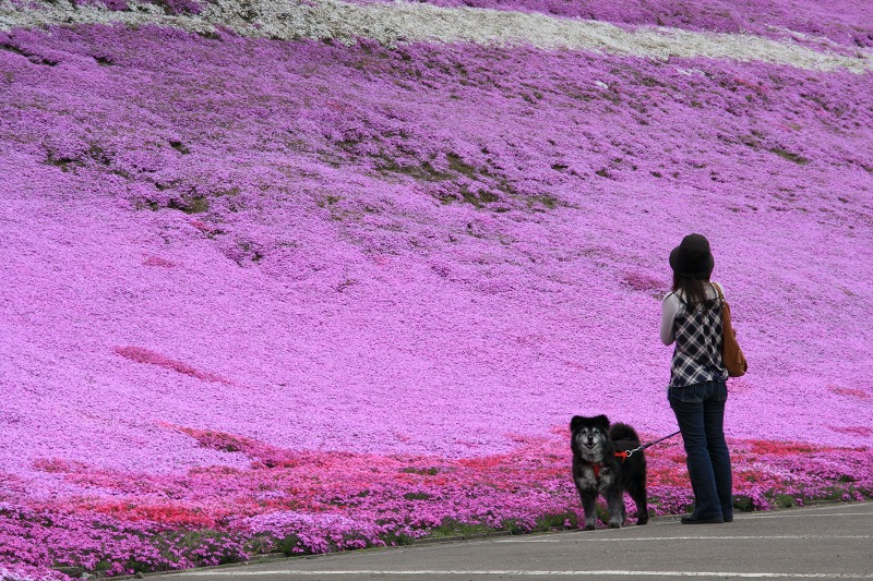 ファイル 224-1.jpg