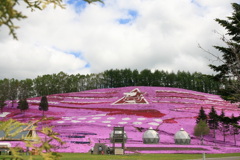 ファイル 224-2.jpg