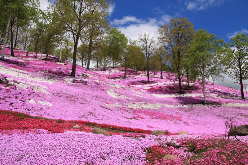 ファイル 224-3.jpg