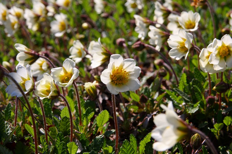 ファイル 225-1.jpg