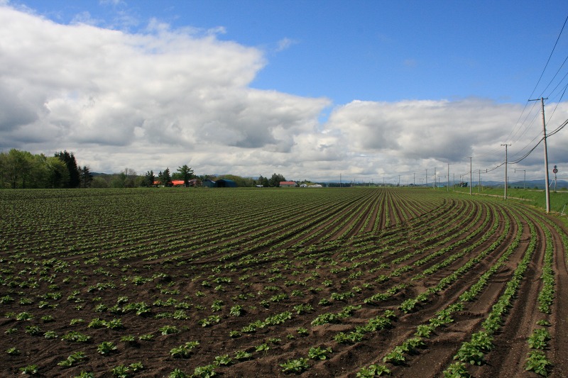 ファイル 226-2.jpg