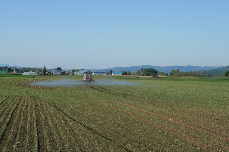 ファイル 226-3.jpg