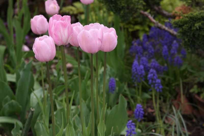 ファイル 227-1.jpg