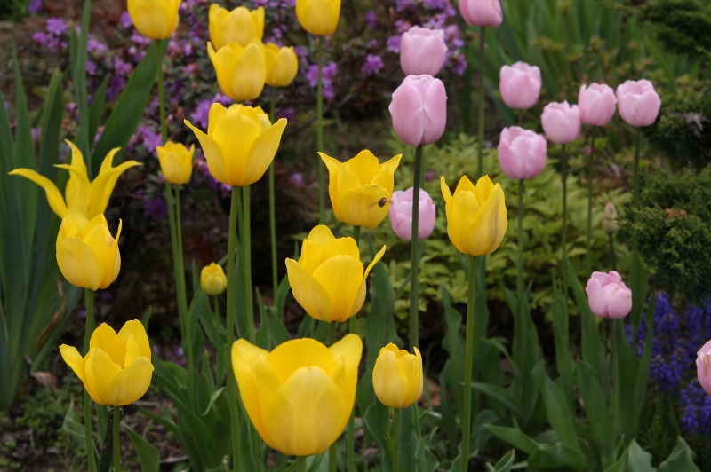 ファイル 227-3.jpg