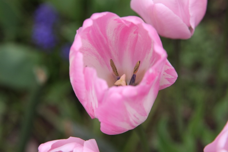 ファイル 227-4.jpg