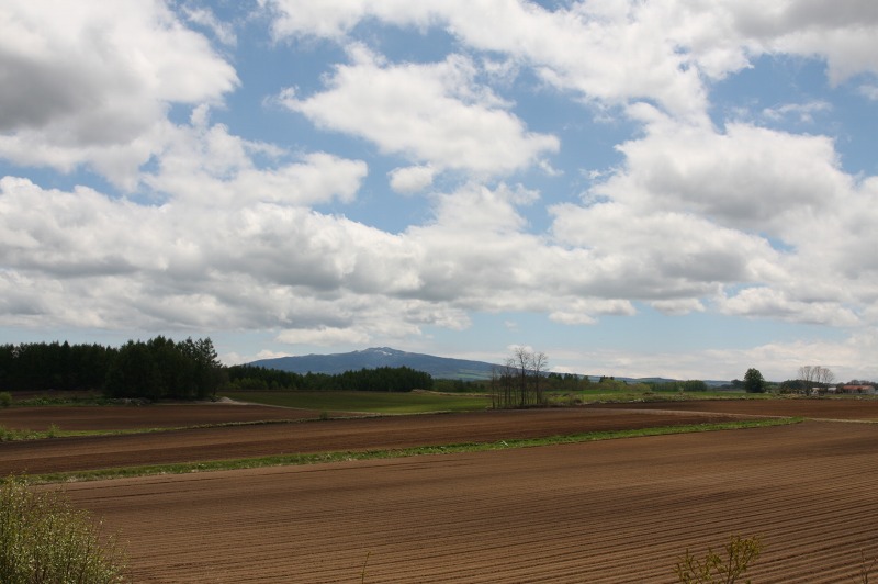 ファイル 228-1.jpg