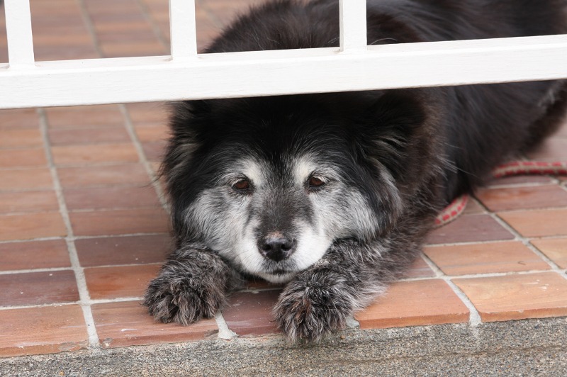 ファイル 228-3.jpg