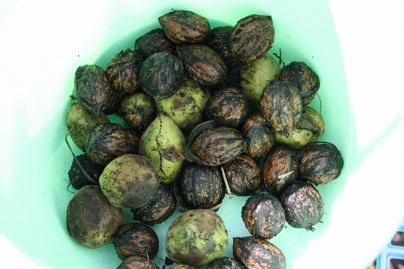 ファイル 23-3.jpg